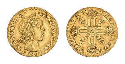 LOUIS XIV (1643-1715)
Half louis d'or à la...