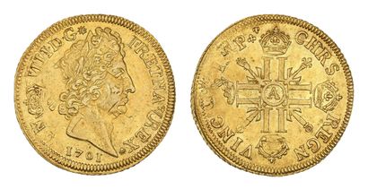 LOUIS XIV (1643-1715)
Double gold louis with...