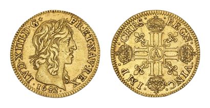 LOUIS XIII (1610-1643)
Louis d'or de Warin...