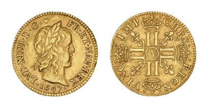LOUIS XIV (1643-1715)
Half louis d'or à la...