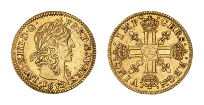 LOUIS XIII (1610-1643)
Warin half gold louis....