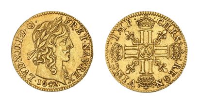LOUIS XIII (1610-1643)
Warin half gold louis....