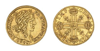 LOUIS XIII (1610-1643)
Warin half gold louis....