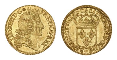 LOUIS XIV (1643-1715)
Double louis d'or à...