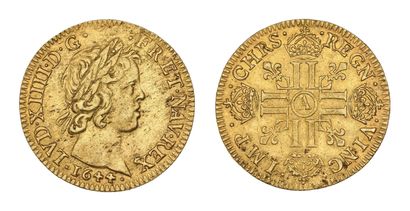 LOUIS XIV (1643-1715)
Louis d'or à la mèche...