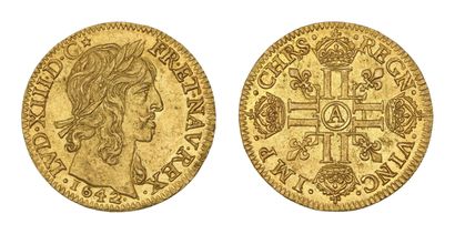 LOUIS XIII (1610-1643)
Louis d'or de Warin...