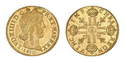 LOUIS XIV (1643-1715)
Louis d'or à la mèche...