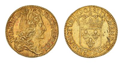 LOUIS XIV (1643-1715)
Double louis d'or à...