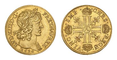 LOUIS XIII (1610-1643)
Warin's double gold...