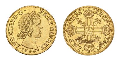 LOUIS XIV (1643-1715)
Louis d'or à la mèche...