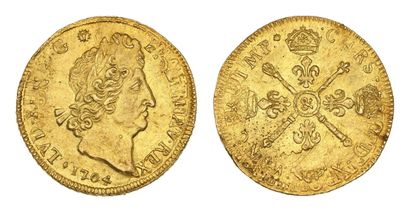 LOUIS XIV (1643-1715)
Double gold louis with...