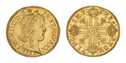 LOUIS XIV (1643-1715)
Louis d'or à la mèche...