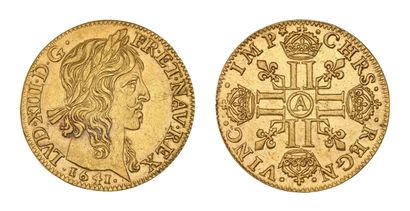 LOUIS XIII (1610-1643)
Louis d'or de Warin...