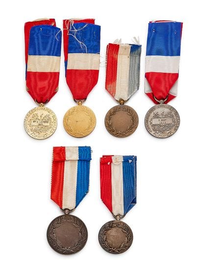 Medal of Honor from the Ministry of Social...