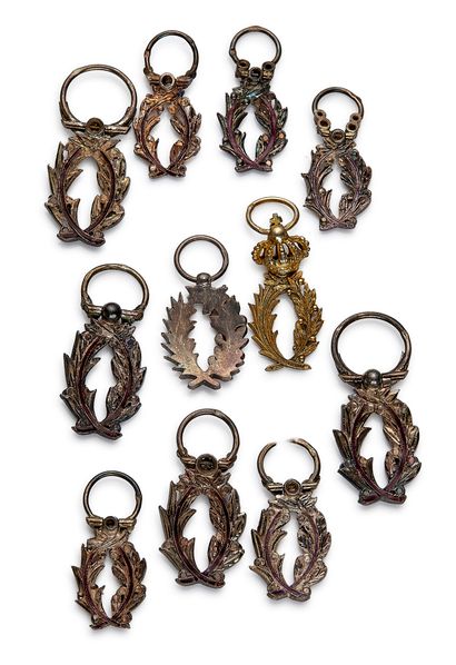 Academic Palms, set of eleven miniature palms,...