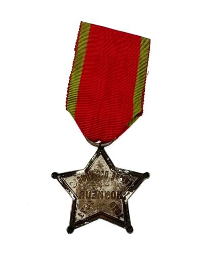 Armée des Vosges, insigne commémoratif 