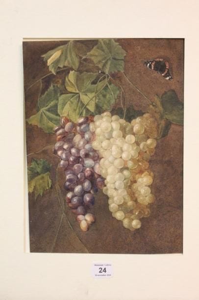 Ecole du XIXème siècle
Raisins blancs, raisins...