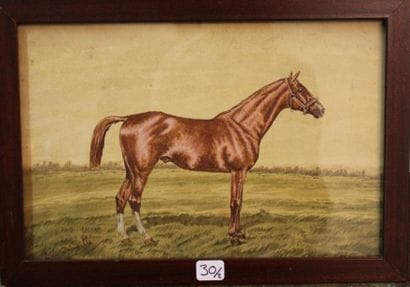 F. de Dainville
-Cheval et son jockey; -...
