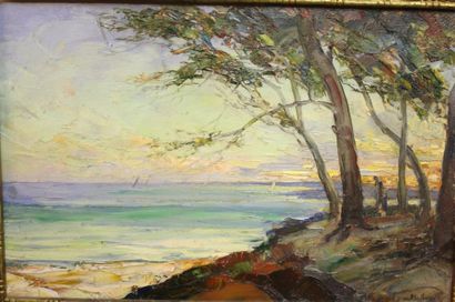 Ecole Provençale
Les pins maritimes, huile...