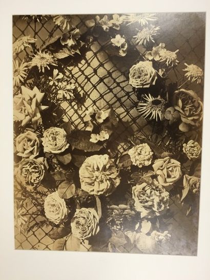 CHARLES AUBRY (1811-1877)
Couronne de roses
Tirage...