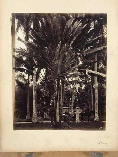 Photographies de voyage
Ensemble de quinze...