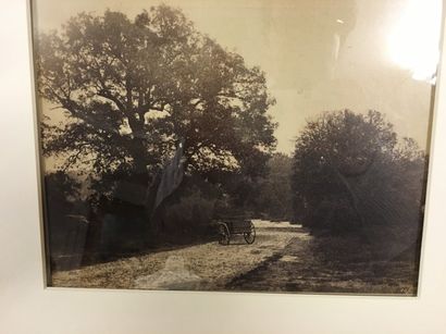 EUGÈNE CUVELIER
Une charrette sur un chemin...
