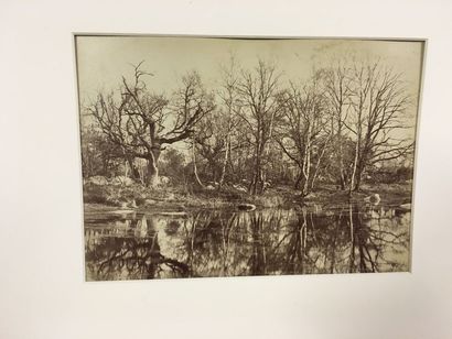 BARBIZON
Ensemble de photographies de Barbizon,...