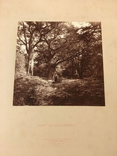 HARRISON
- Deux études photoglyptiques pour...