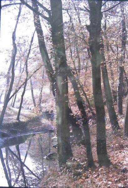 Ensemble de paysages en automne et printemps...