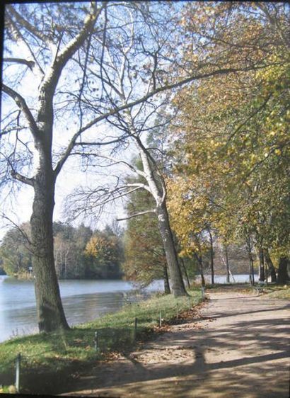 Ensemble de paysages en automne et printemps...