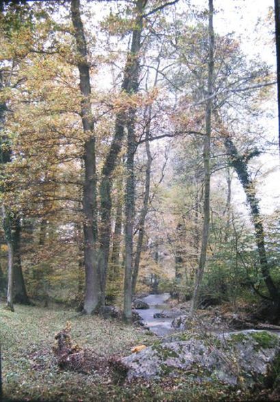 Ensemble de paysages en automne et printemps...