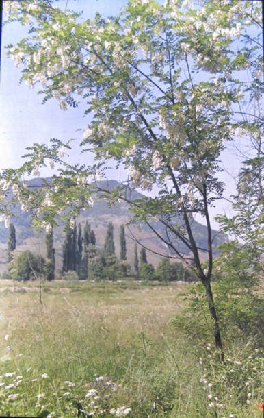 Ensemble de paysages en automne et printemps...