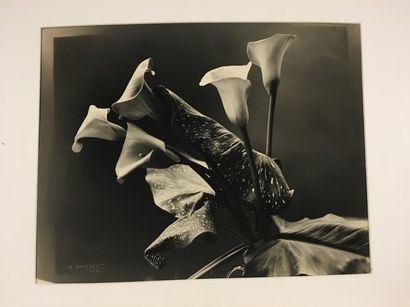 Jean-Marie AURADON (1887-1958)
Étude de fleurs...