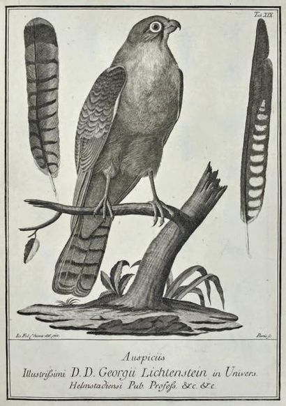 SCOPOLI (Giovanni Antonio)
Deliciae florae...
