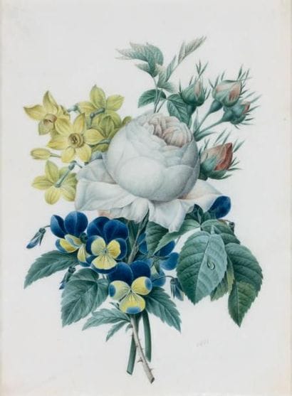 École Française du XIXe siècle

Bouquet de...