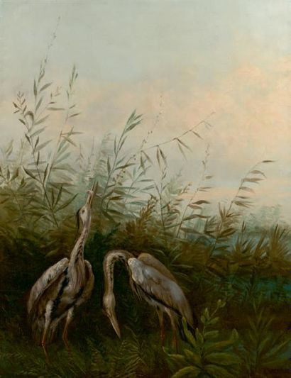 J. DAUPHIN

Paysage aux hérons
Huile sur...