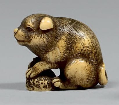 JAPON - Fin de l'époque Edo (1603-1868)
Netsuke...