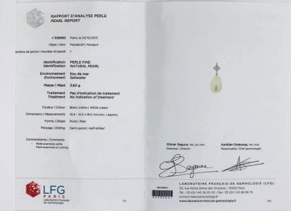 Pendentif en or gris 750 millièmes orné d'une...