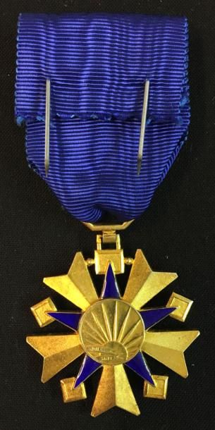 Ordre de la Santé publique, étoile d'officier...