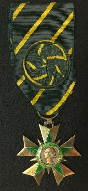 Ordre du Mérite combattant, étoile d'officier...