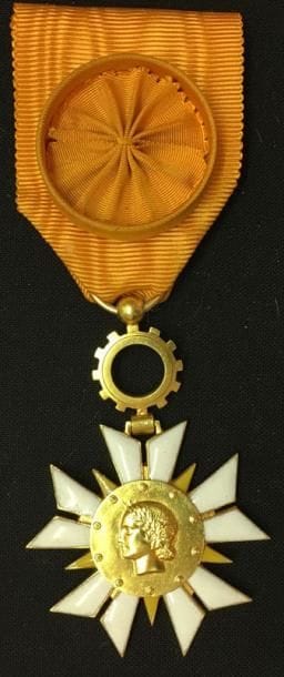 Ordre de l'Économie nationale, étoile d'officier...