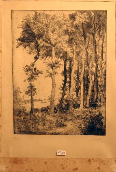 Georges Le MEILLEUR (1861-1945)
Estampe Sous-bois...