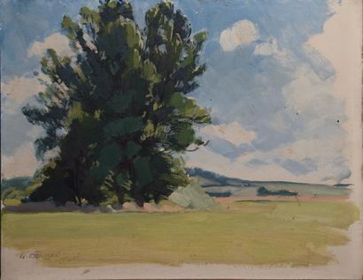 LOUIS-GABRIEL CROISON
Bosquet d?arbres Huile...