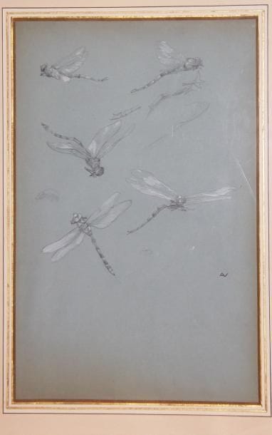 André NIVARD (1880-1969)
Libellules et Lys...