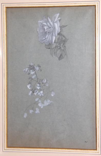 André NIVARD (1880-1969)
Etude de fleurs,...