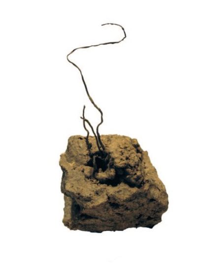 ARGENT natif en fils, 12 cm Chine