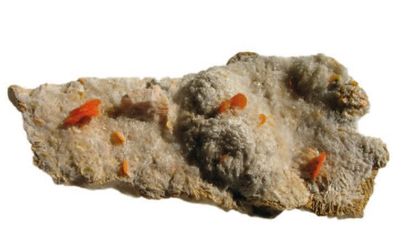 Cristaux de WULFENITE sur gangue, Touissit,...