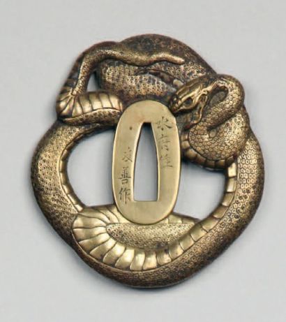 Tsuba en sentoku en forme de serpent enroulé...
