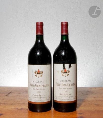 2 Mag CHÂTEAU TERREY GROS CAILLOU (1 e.t.h....