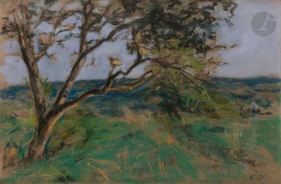 Ker-Xavier ROUSSEL (1867-1944)
Paysage à...